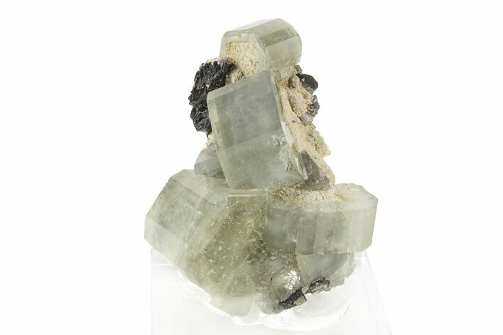 Pristine Fluorapatite Crystals with Arsenopyrite - Portugal #239754